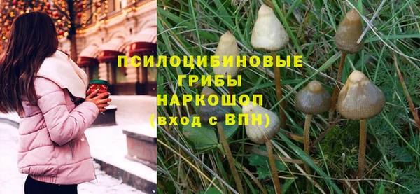 a pvp Алексеевка