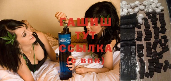 PSILOCYBIN Алзамай