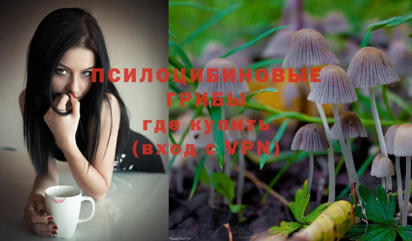 мескалин Абинск