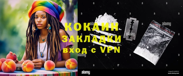 PSILOCYBIN Алзамай