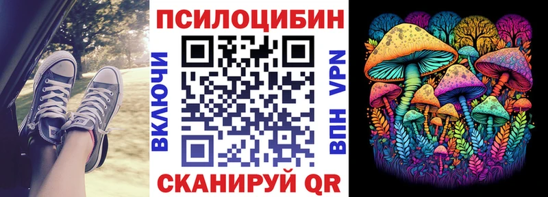 ссылка на мегу ссылка  Сурск  Галлюциногенные грибы Psilocybine cubensis 