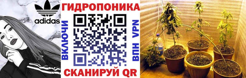 Бошки Шишки THC 21%  kraken ССЫЛКА  Сурск  дарнет шоп 